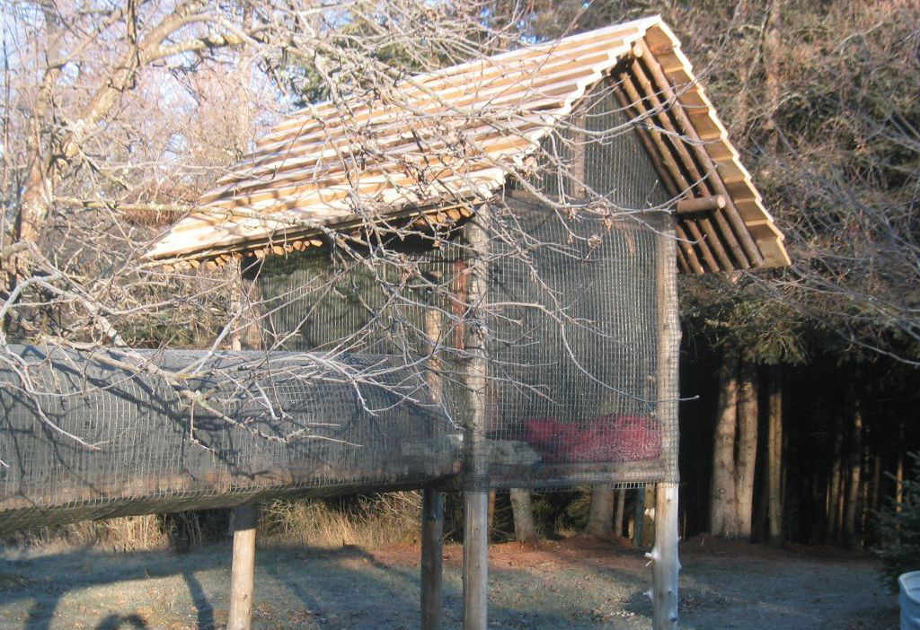 stage 3 cat pen